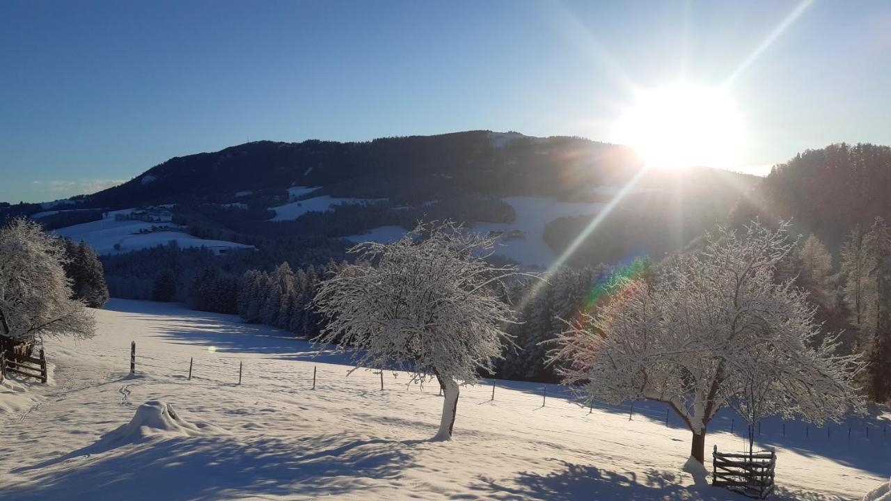Ferienhaus Reisinger Promschhof Semriach Exteriér fotografie