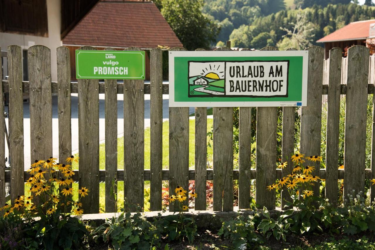 Ferienhaus Reisinger Promschhof Semriach Exteriér fotografie